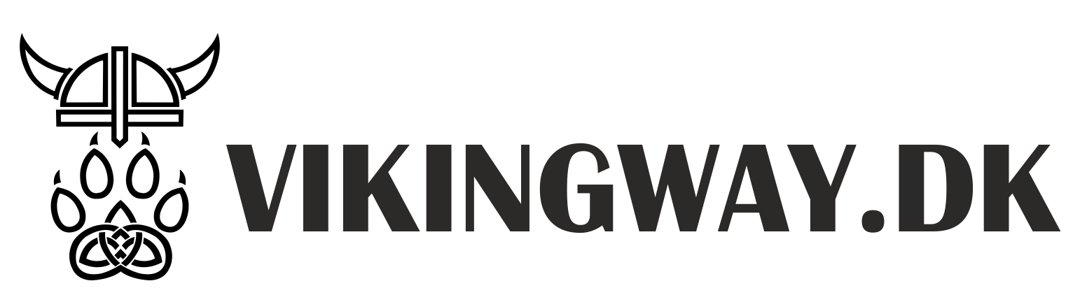 The VIKING WAY