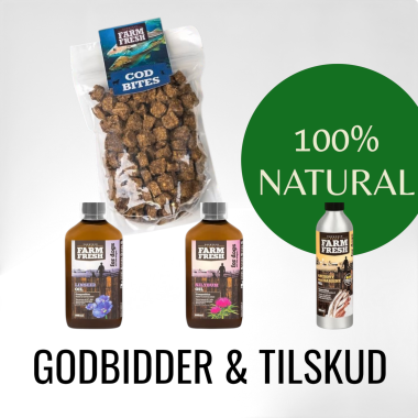 GODBIDDER & TILSKUD