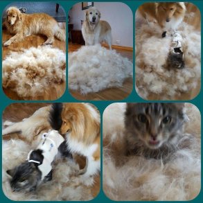 Twin king EKSTRA FINE 2in!