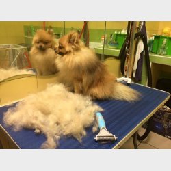 EXTRA FINE Dansk TWIN KING 2in1