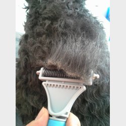 DANISH TWIN KING 2in1