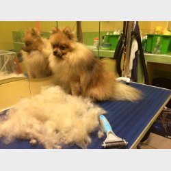 DANISH TWIN KING 2in1