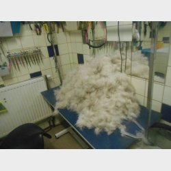 DANISH TWIN KING 2in1