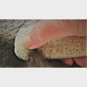 Afskrabning af stenblok Afskrabning af stenblok