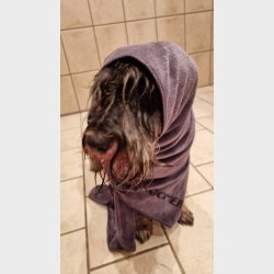 Hyperabsorberende hndklde 100x60 cm