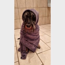 Hyperabsorb Hndklde 100x60cm