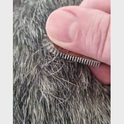 ROCK'N'ROLL-revolution SKR KNIV