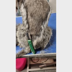 RETRO UDSTYGNING - DOBBELT GROV