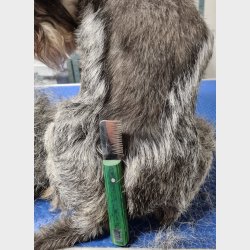 RETRO UDSTYGNING - DOBBELT GROV