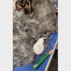 RETRO UDSTYGNING - DOBBELT GROV