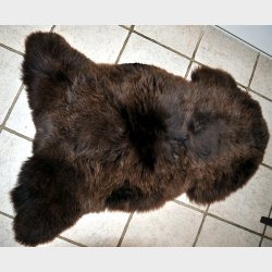 LAMMESKIND BRUN 110cm plus