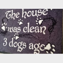 DOORMAT - Huset var rent for 3 hunde siden, 50x70cm