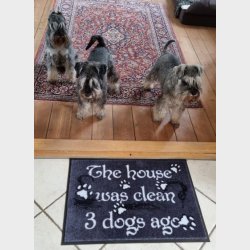 DOORMAT - Huset var rent for 3 hunde siden, 50x70cm